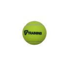 TECNIFIBRE TRAINING (4 DB/TUBUS) TENISZLABDA
