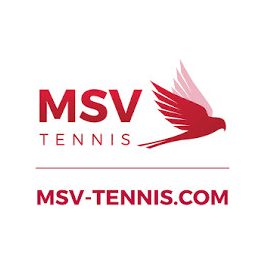 MSV